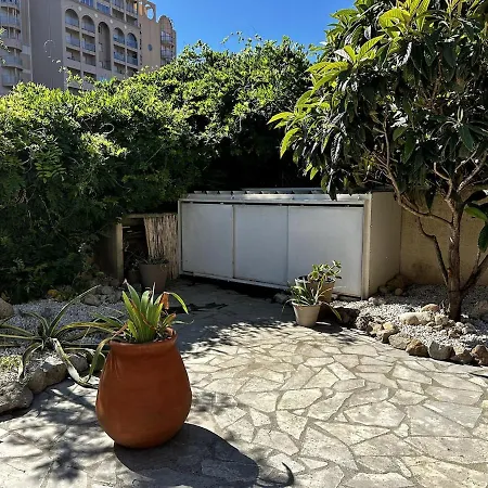 Cozycoast كانيه