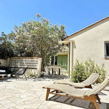 فيلة Cozycoast كانيه